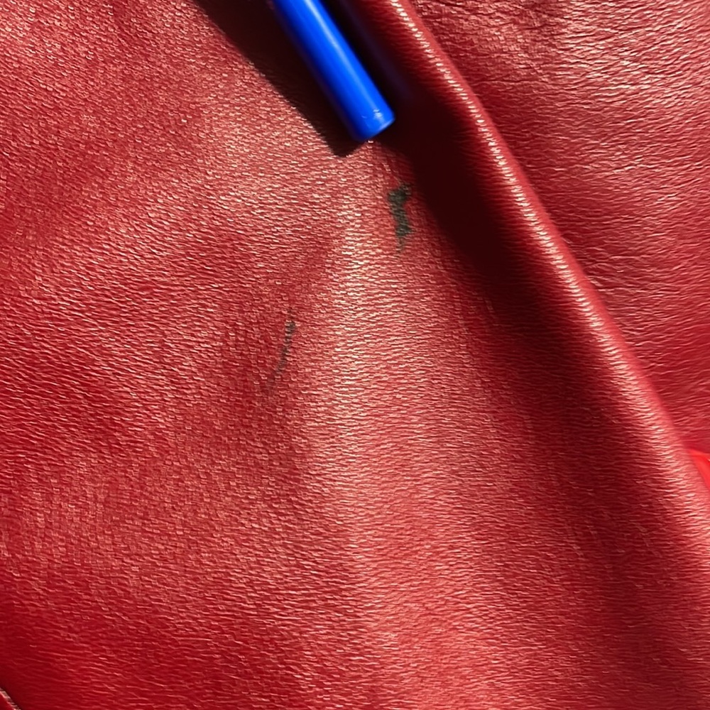 Danier Red Leather Jacket - Picture 8 of 13